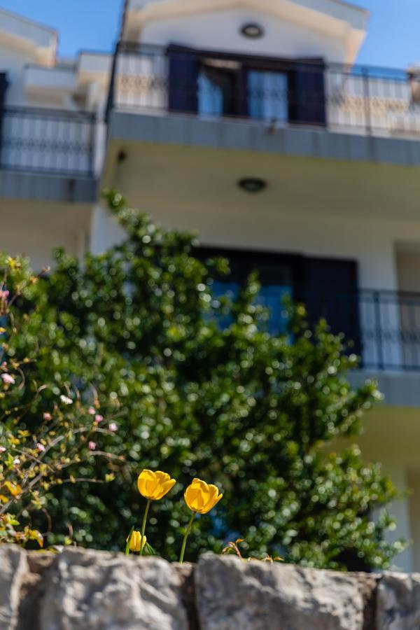 Apartments Miramar Kotor Ngoại thất bức ảnh